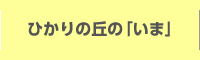 ひかりの丘の「いま」