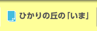 ひかりの丘の「いま」