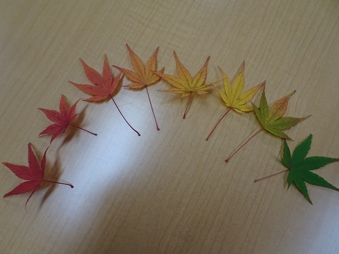 紅葉狩り５.jpg