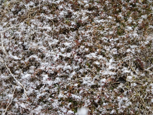 雪２.jpg