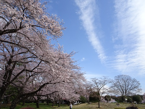 DSC04406.JPG