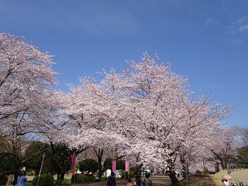 DSC04445.JPG