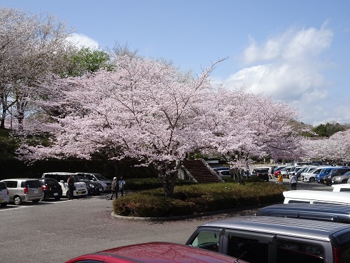 DSC04471.JPG