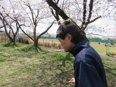 ひかりの丘