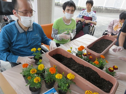 ひかりの丘