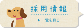 採用情報【一覧を見る】