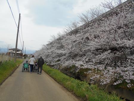 1DSCN0468.JPG