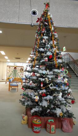 1DSCN8965.JPG