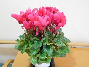 1DSCN9005.JPG