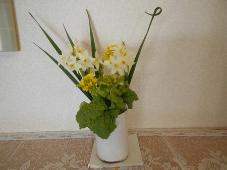 DSCN0139.JPG