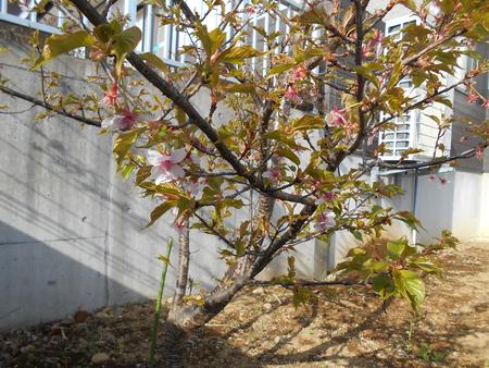 DSCN0274.JPG