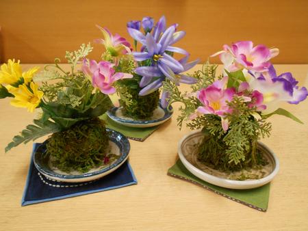 DSCN0310.JPG