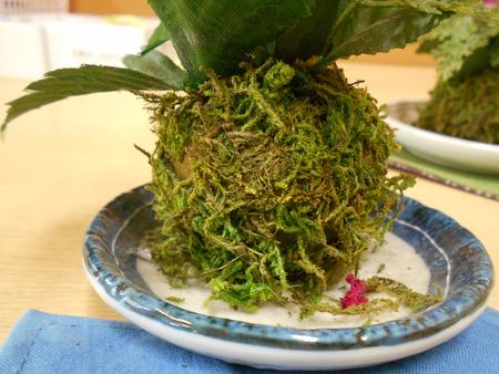 DSCN0331.JPG