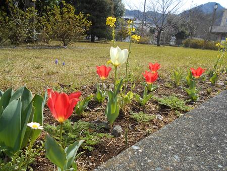 DSCN0361.JPG
