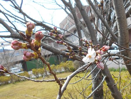 DSCN0369.JPG