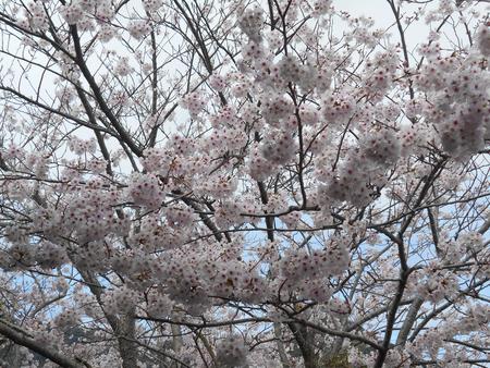 DSCN0418.JPG