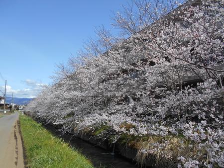 DSCN0427.JPG