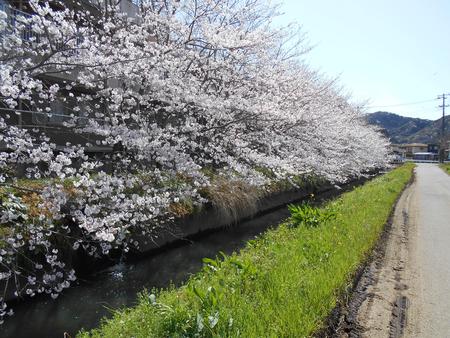 DSCN0436.JPG