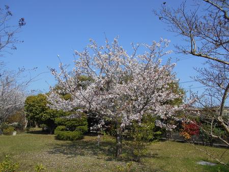 DSCN0535.JPG