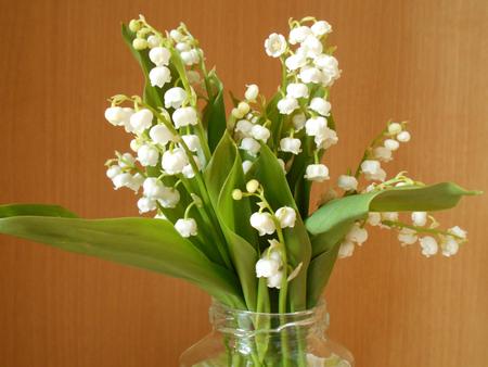 DSCN0648.JPG
