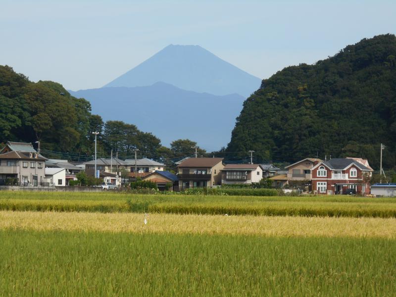 DSCN0710.JPG