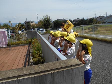 DSCN0728.JPG