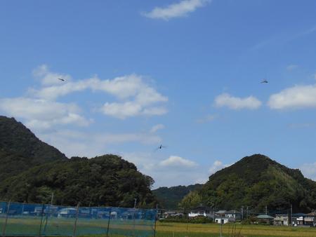 DSCN0833.JPG