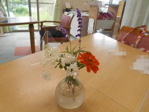 DSCN0848.JPG