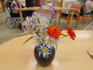 DSCN0854.JPG