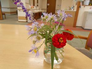 DSCN0856.JPG