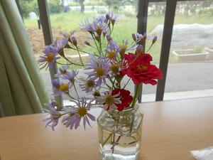 DSCN0862.JPG