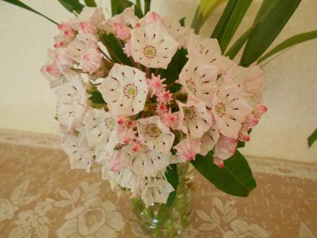 DSCN0971.JPG