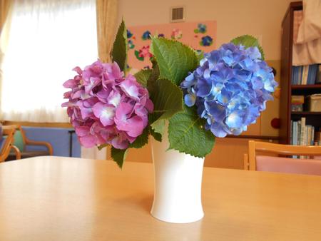 DSCN1175.JPG