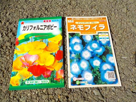 DSCN2489.JPG
