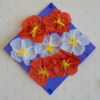 DSCN3532.JPG