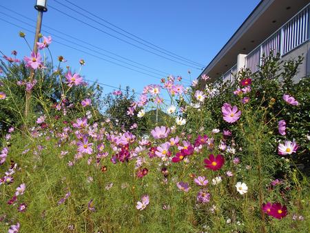DSCN8655.JPG