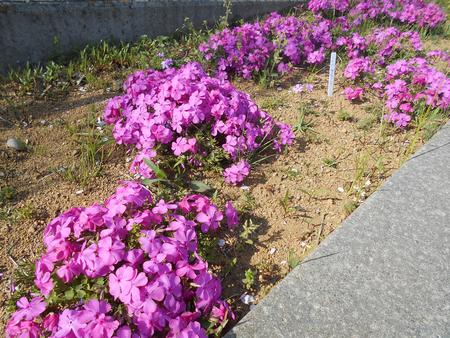 DSCN8891.JPG
