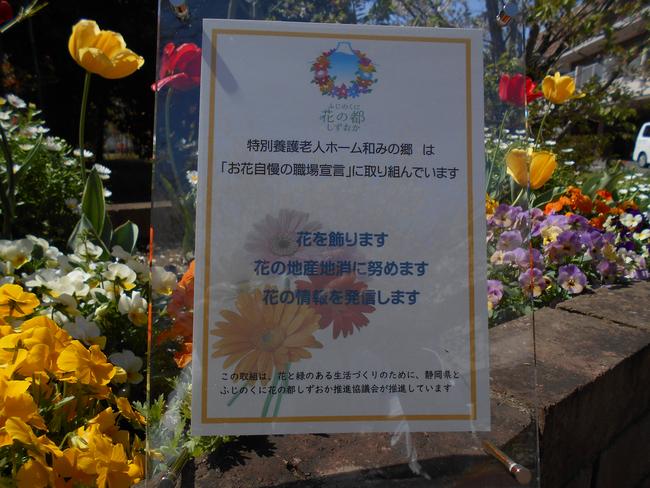 DSCN8904.JPG
