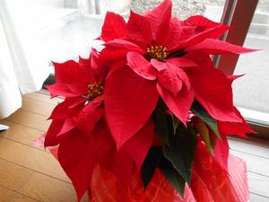 DSCN8976.JPG