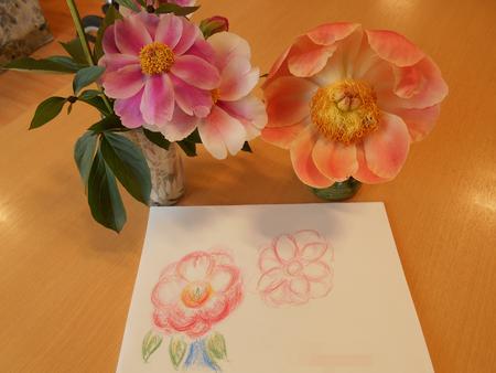 DSCN9005.JPG