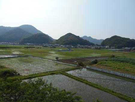 DSCN9037.JPG