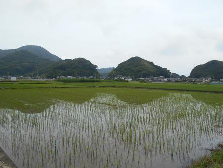 DSCN9056.JPG