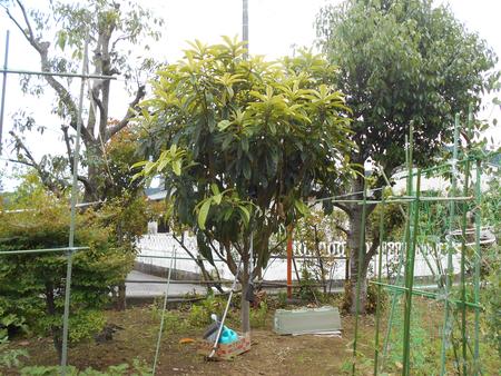 DSCN9082.JPG