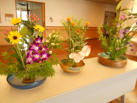 DSCN9235.JPG