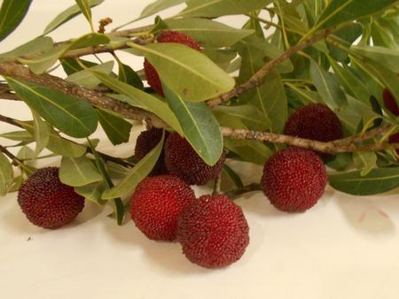 DSCN9238.JPG