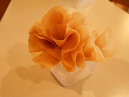 DSCN9595.JPG