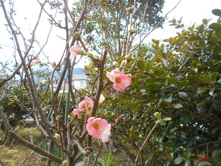 DSCN9719.JPG