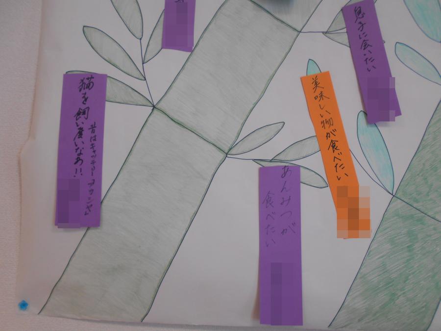 DSCN9808.JPG