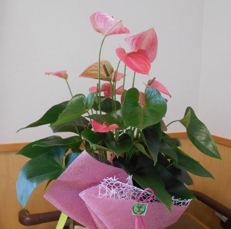 DSCN9977.JPG