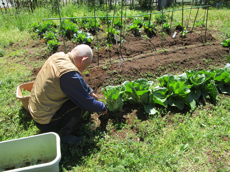 service_day_photo_03.jpg